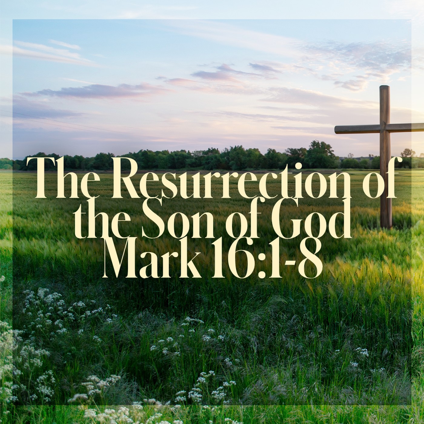The Story of Scripture: New Testament | The Resurrection of the Son of God