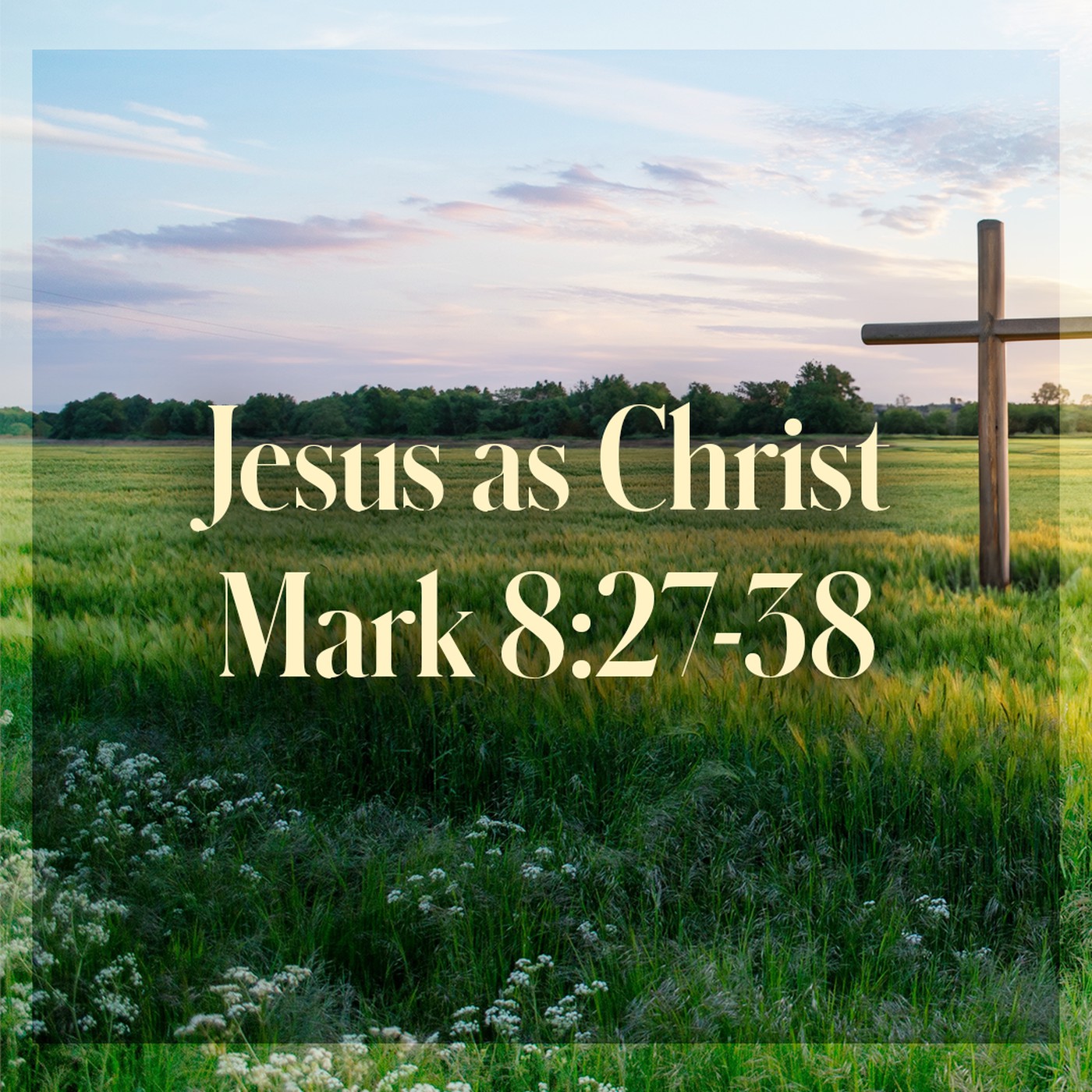 The Story of Scripture: New Testament | Jesus as the Christ