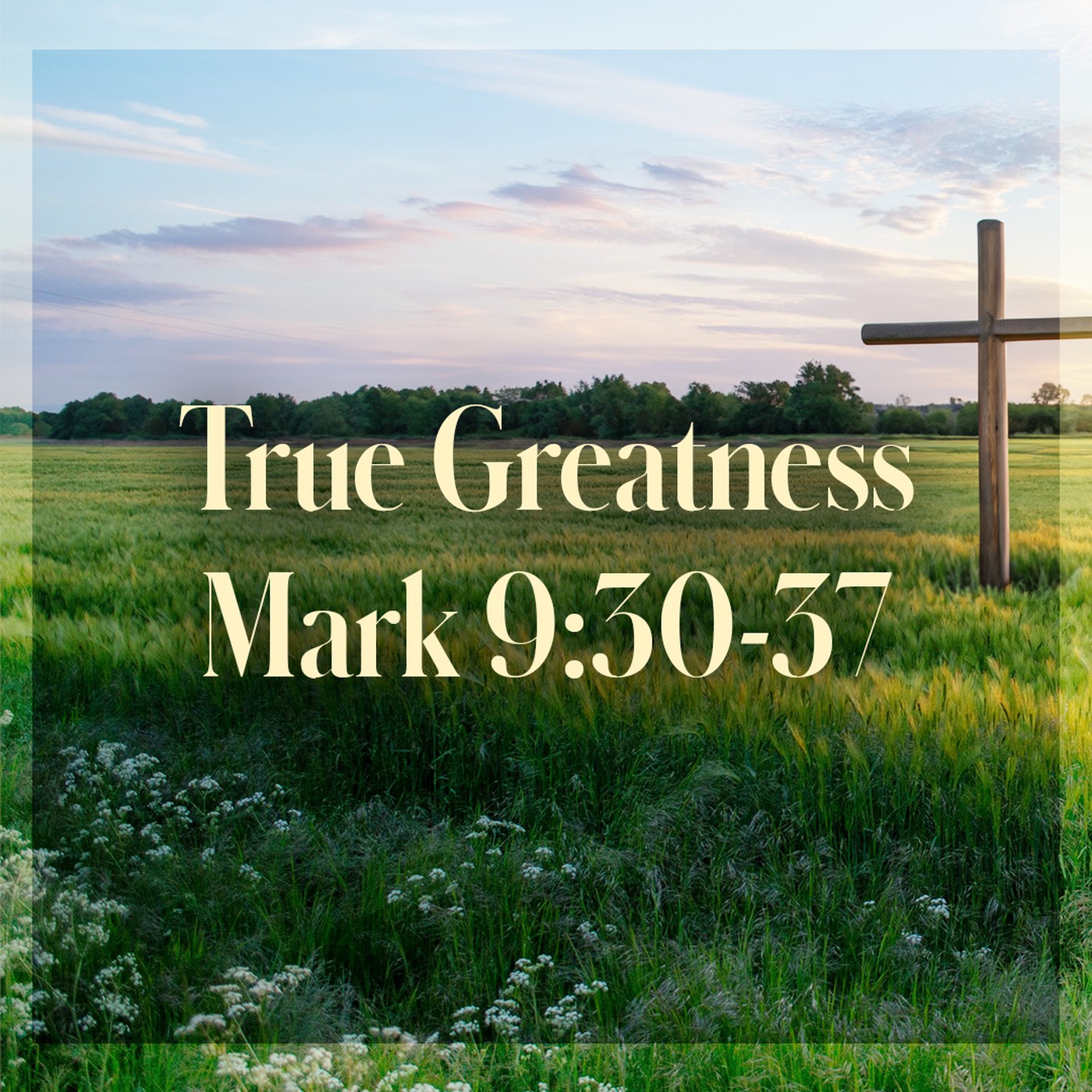The Story of Scripture: New Testament | True Greatness