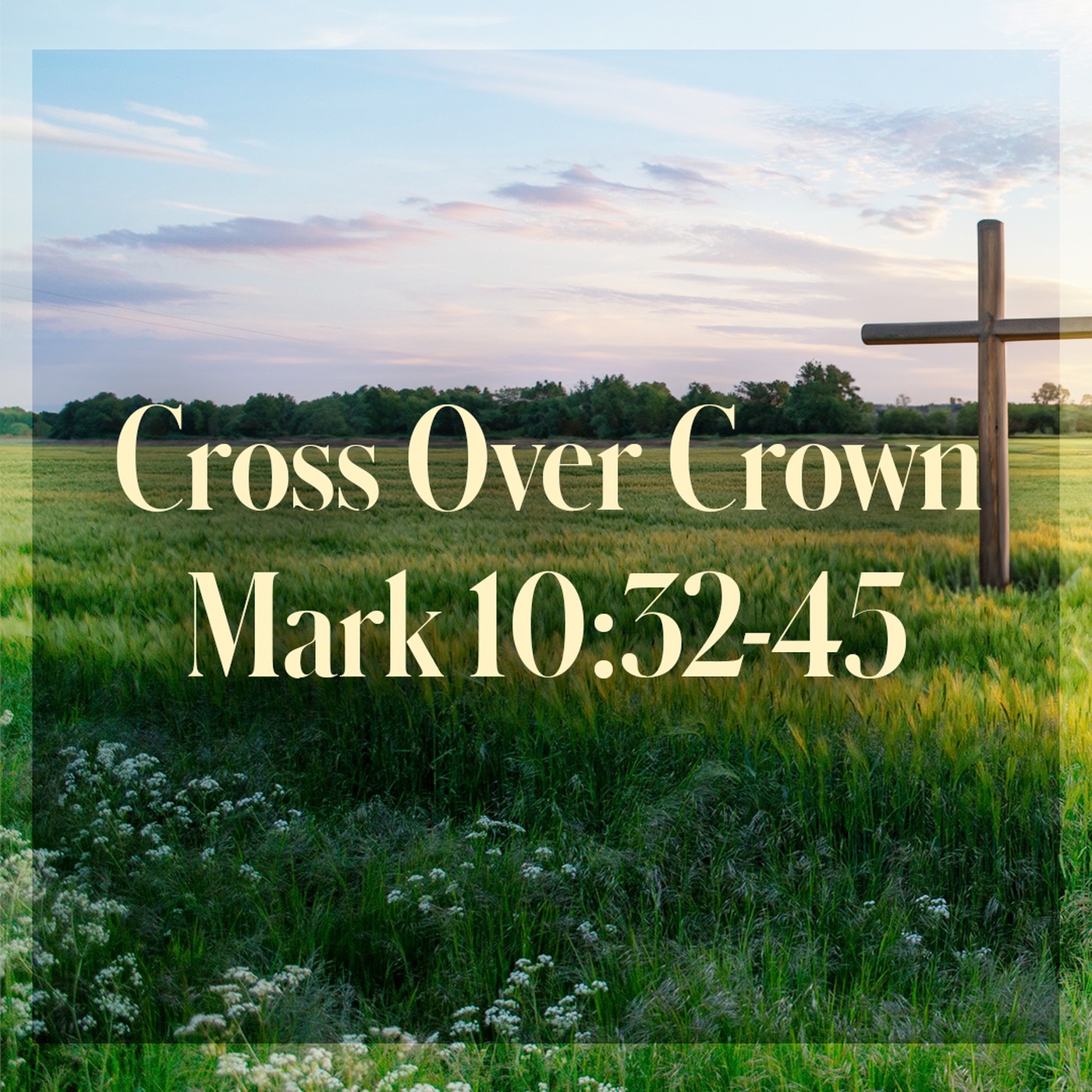 The Story of Scripture: New Testament | Cross Over Crown