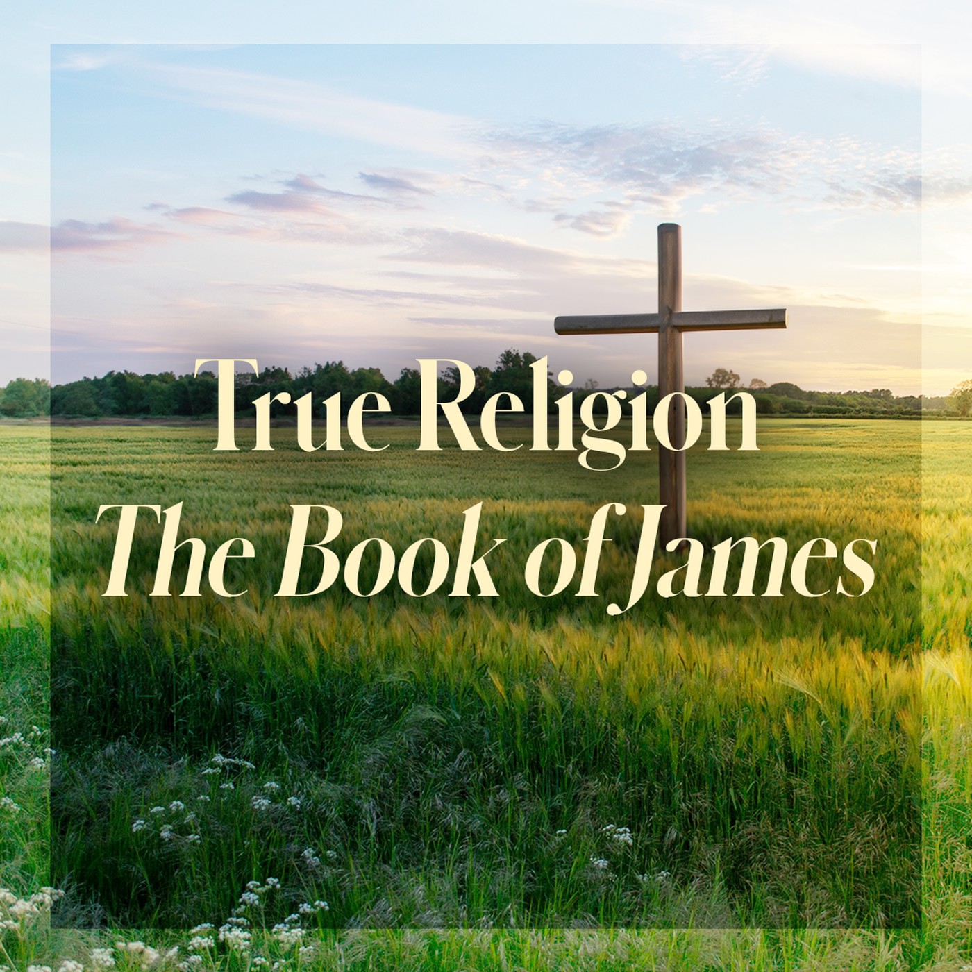 The Story of Scripture: New Testament | True Relgion