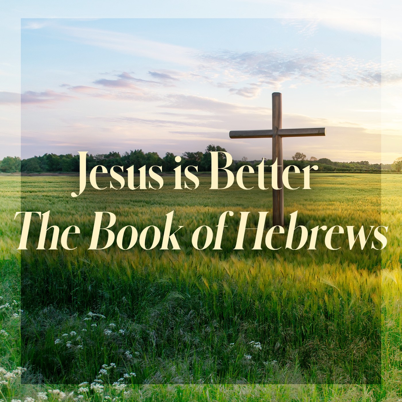 The Story of Scripture: New Testament | Jesus is Better