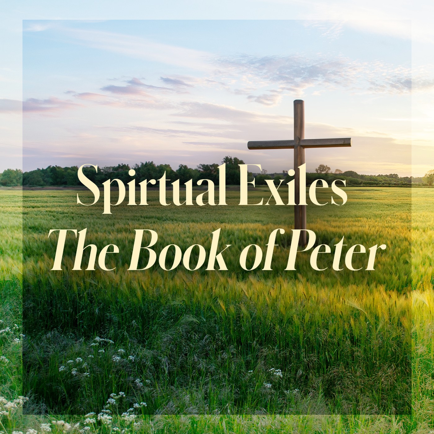 The Story of Scripture: New Testament | Spiritual Exiles