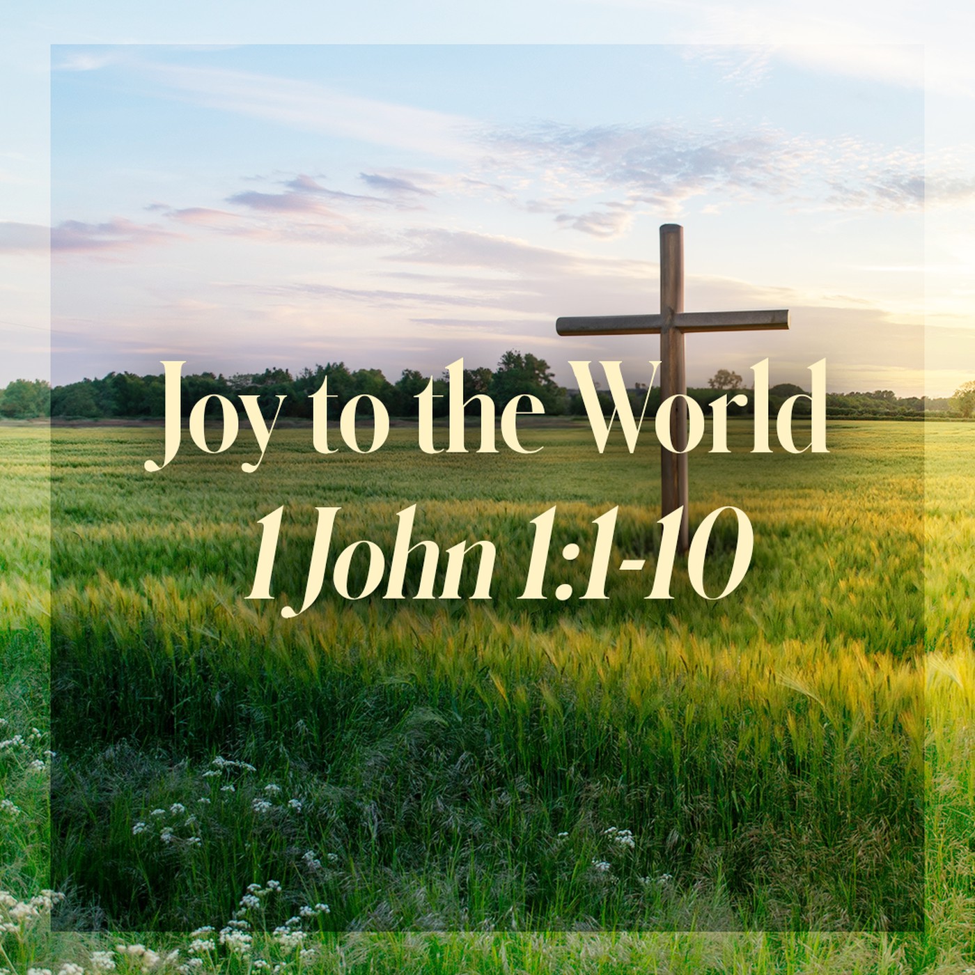 The Story of Scripture: New Testament | Joy to the World