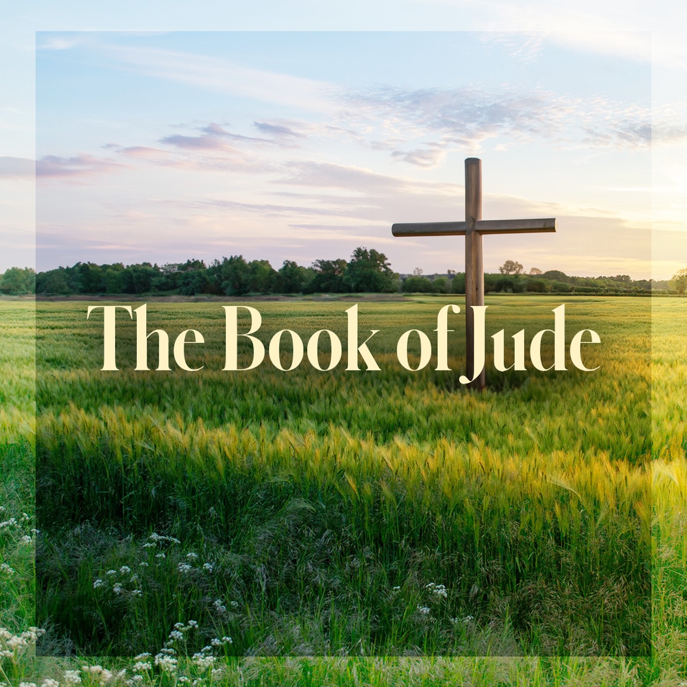 The Story of Scripture: New Testament | The Book of Jude