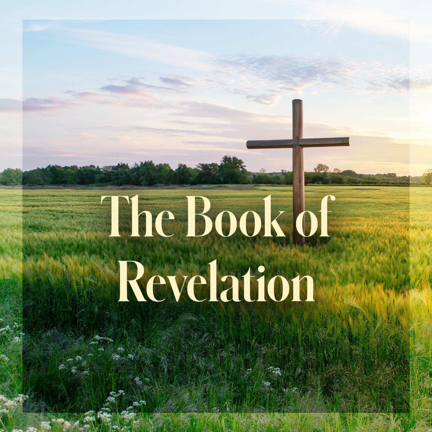 The Story of Scripture: New Testament | The Book of Revelation