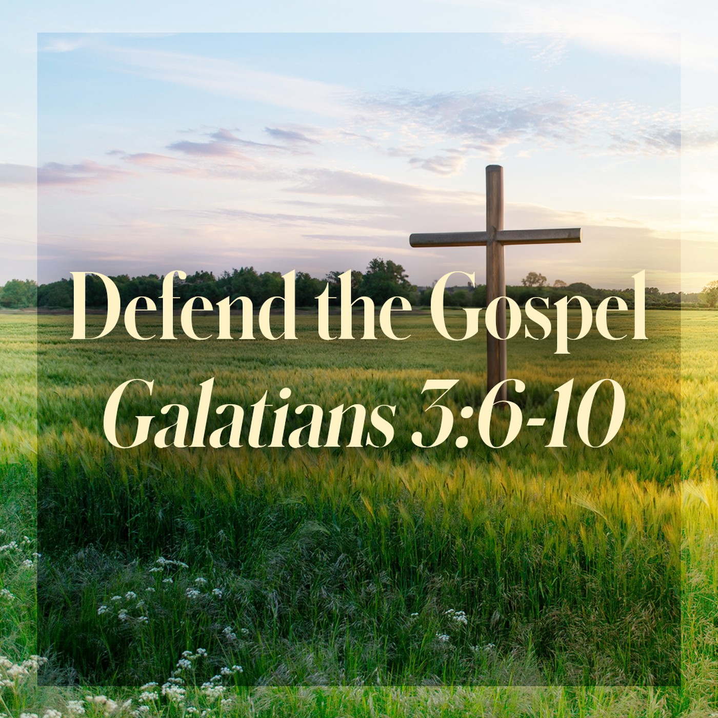 The Story of Scripture: New Testament | Defend the Gospel