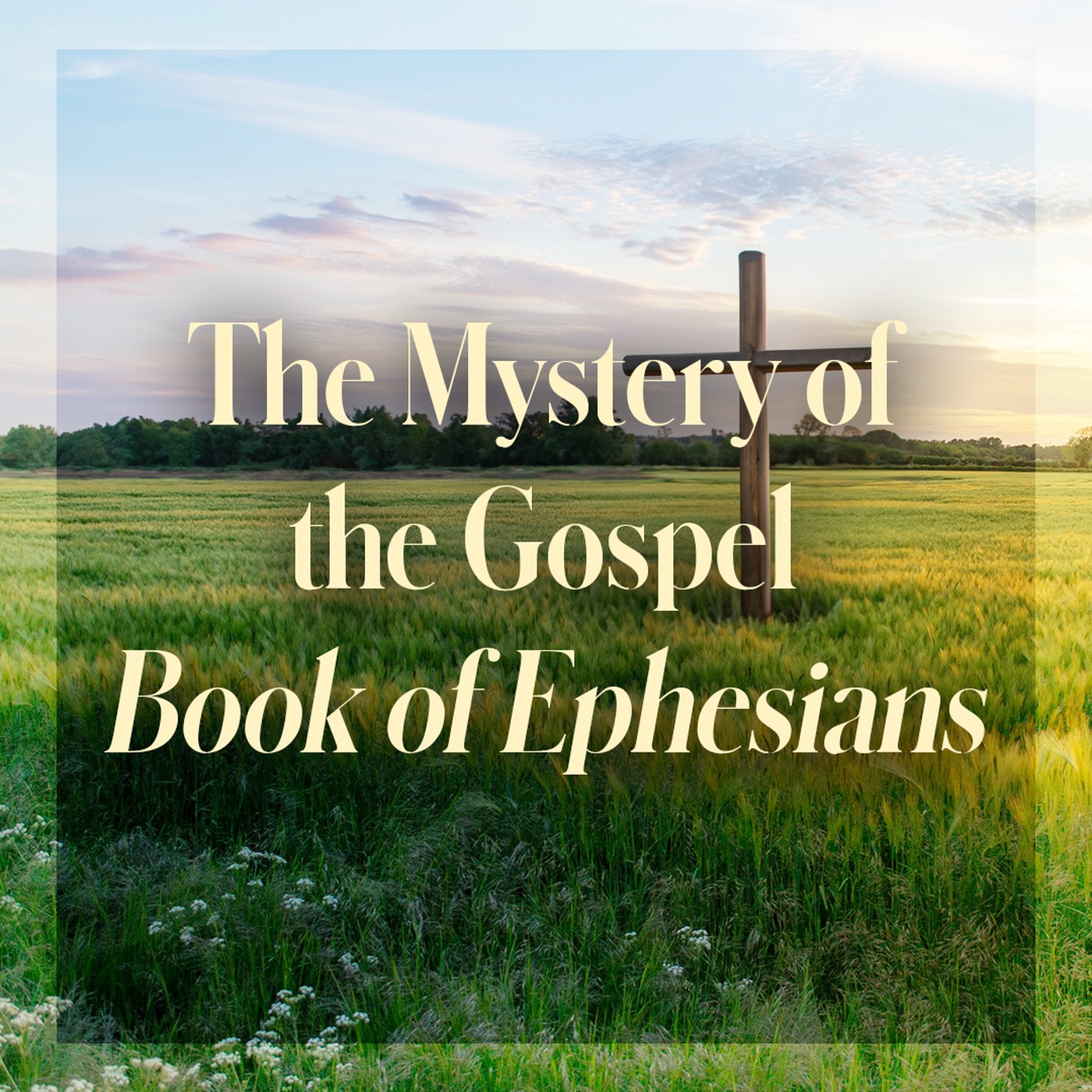The Story of Scripture: New Testament | The Mystery of the Gospel