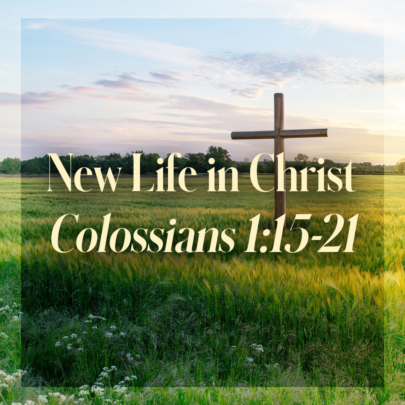 The Story of Scripture: New Testament | New Life in Christ