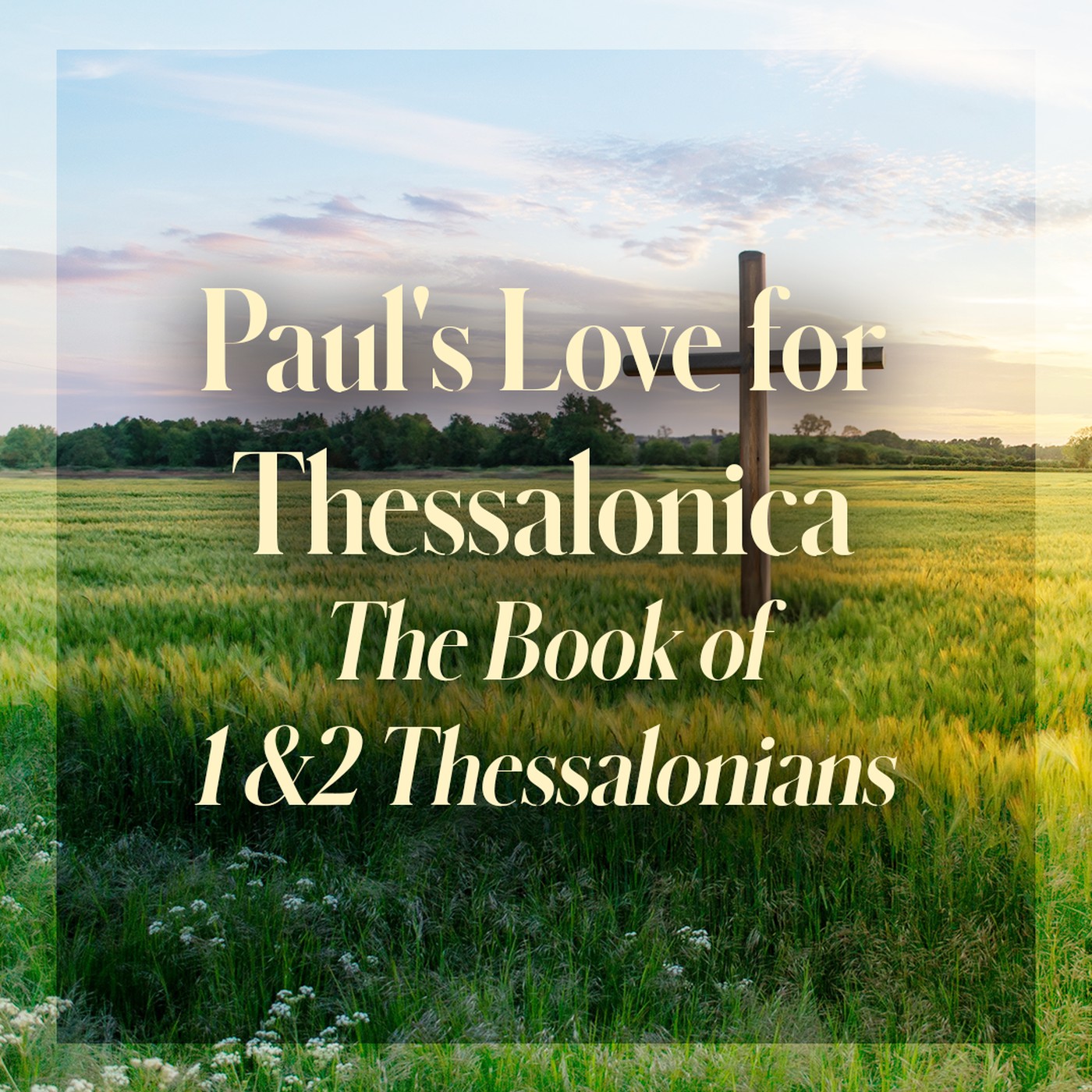 The Story of Scripture: New Testament | Paul's Love for Thessalonica
