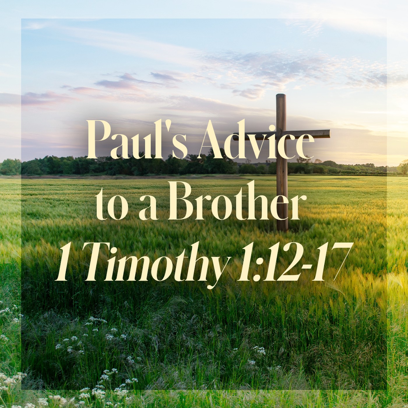 The Story of Scripture: New Testament | Paul's Advice to a Brother