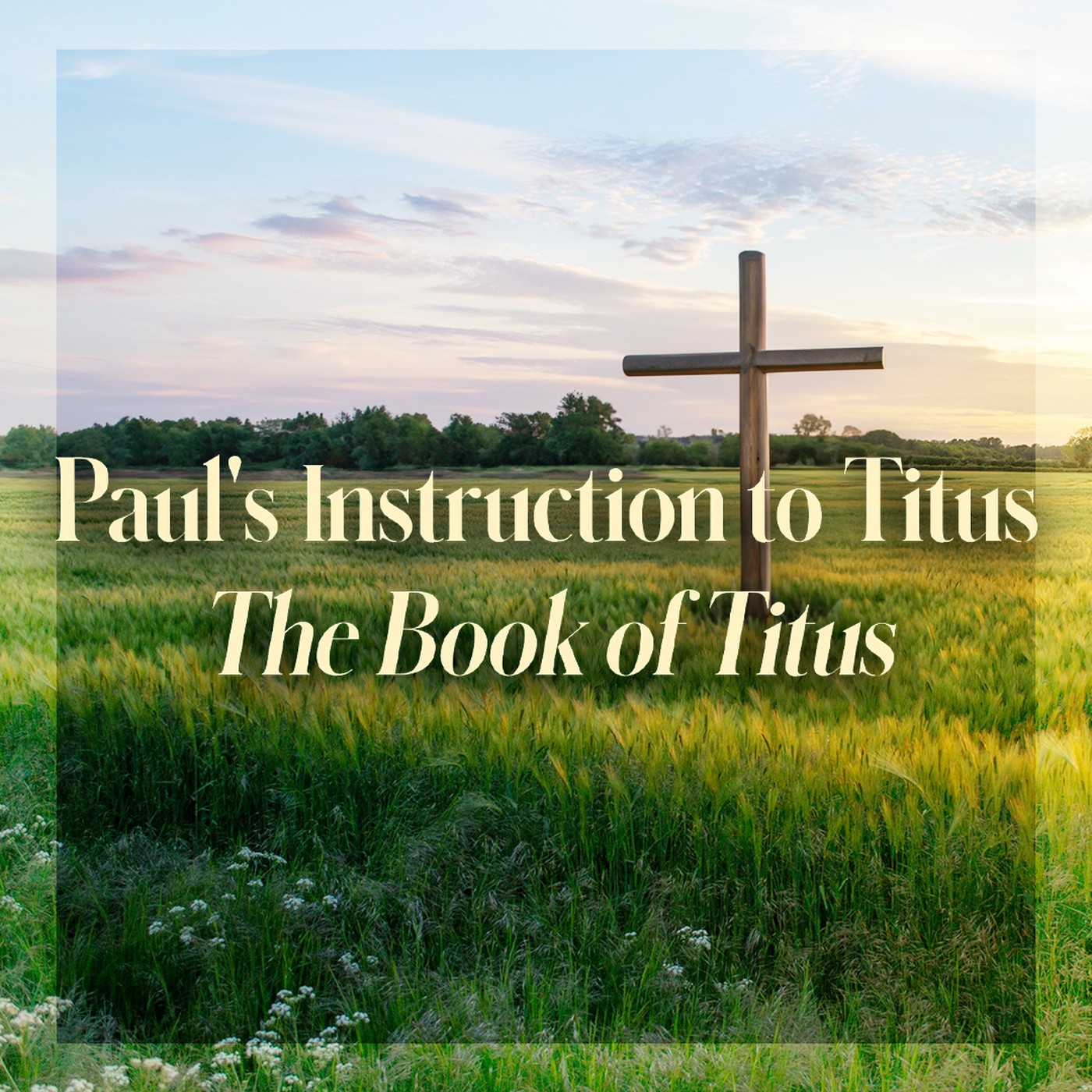 The Story of Scripture: New Testament | Paul's Instruction to Titus