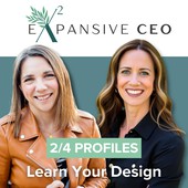 Expansive CEO