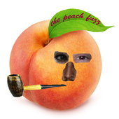 The Peach Fuzz