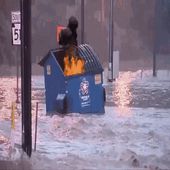 The Dumpster Fire Podcast