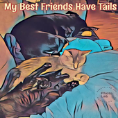 My Best Friends Have Tails