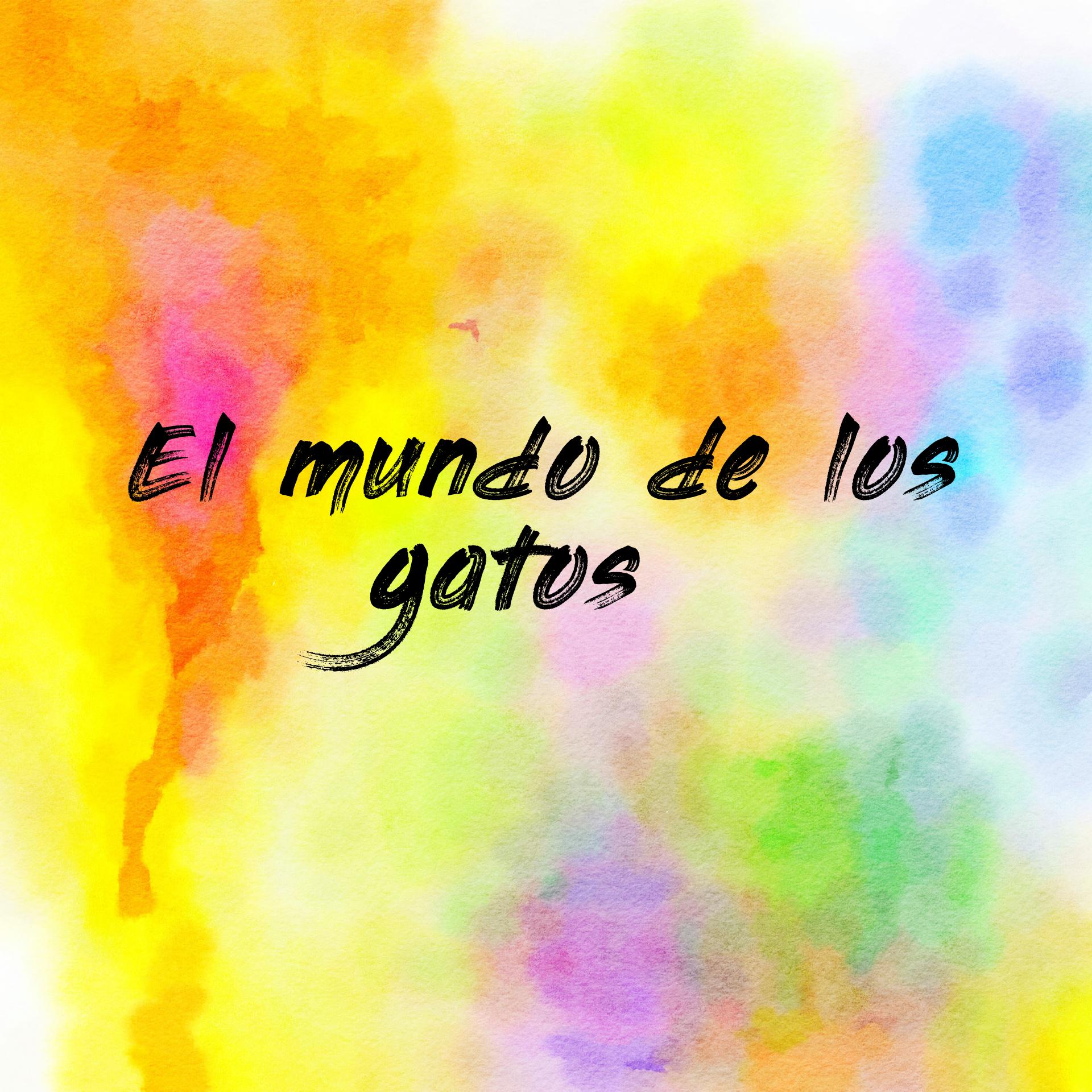 El mundo de los gatos