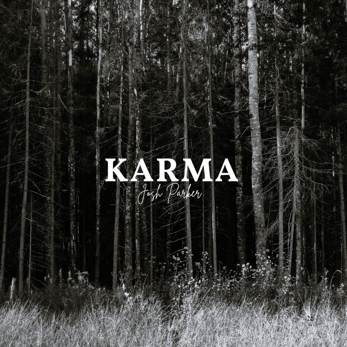 KARMA: THE ALBUM