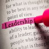 The Leadership Kit Cover Art