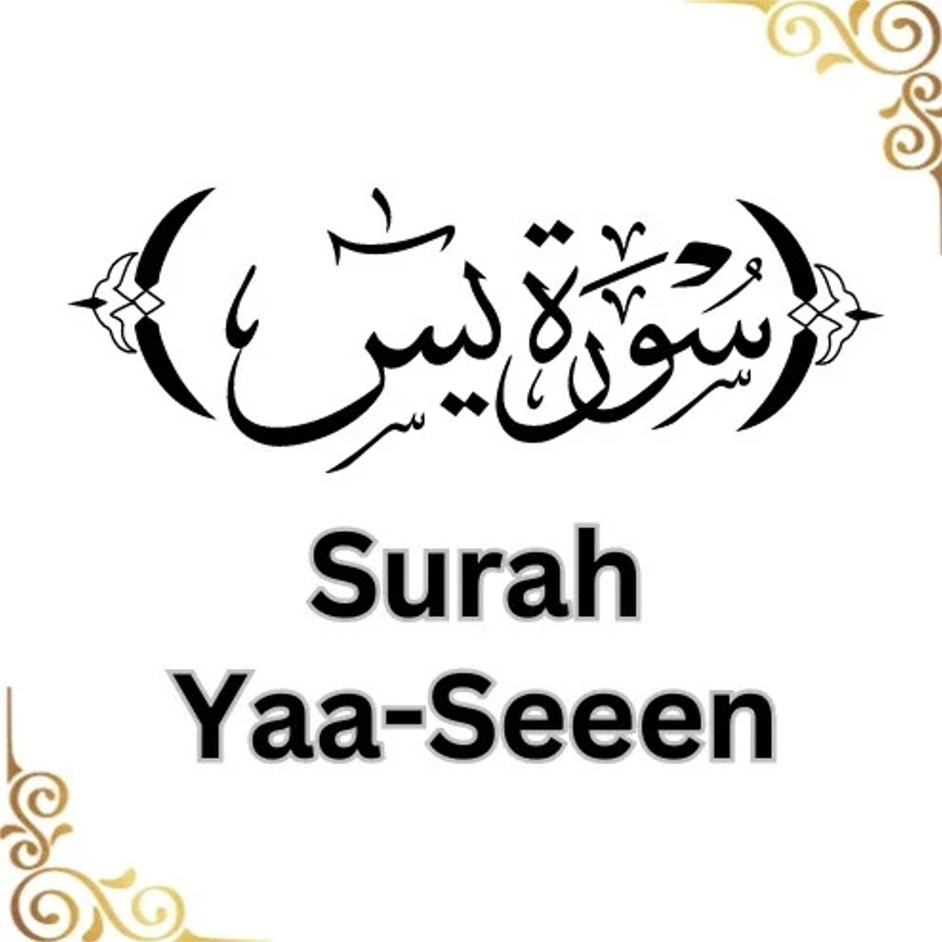 Echoes of Faith: A Deep Dive into Surah Yaseen