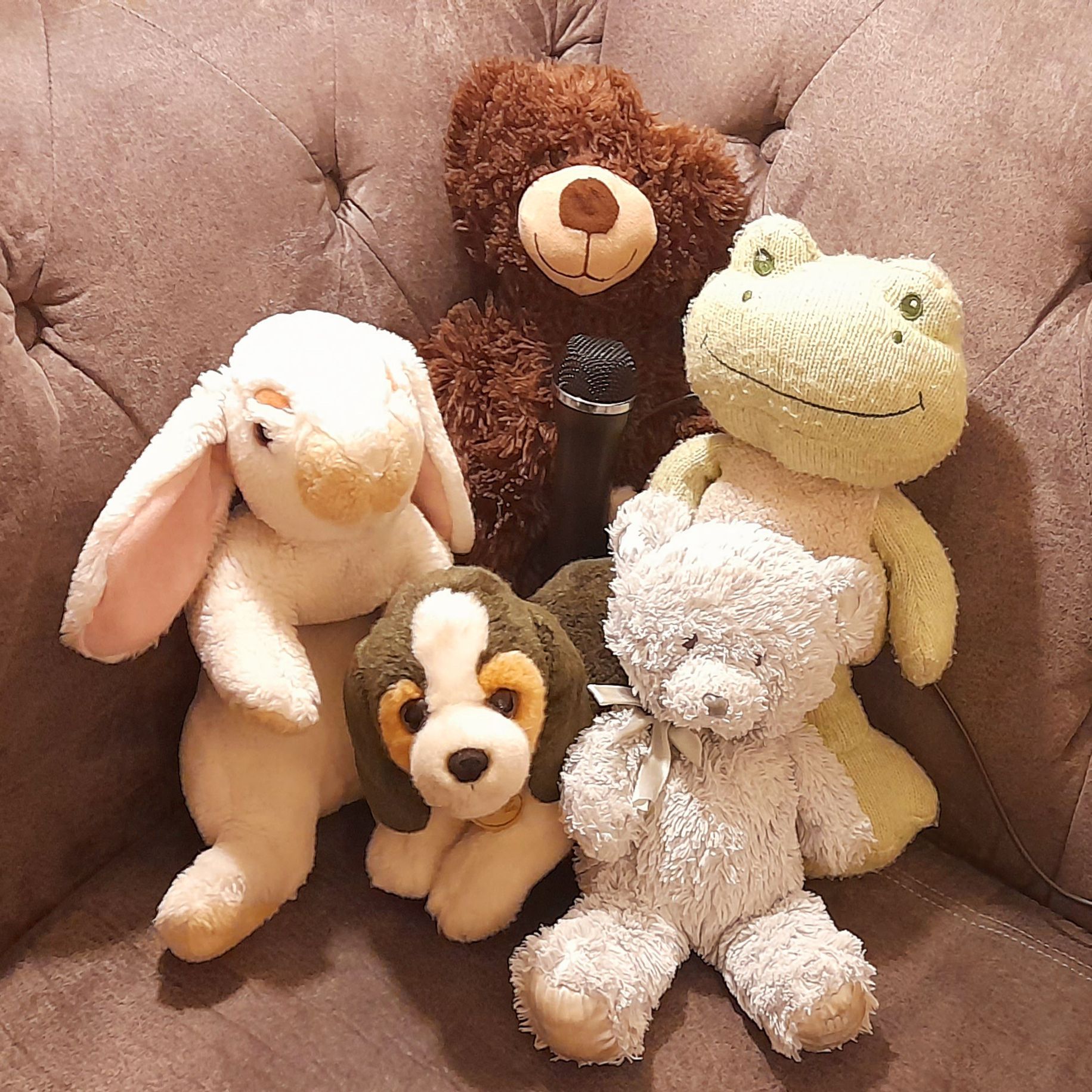 The Brown Bear and Bob the Frog Podcast