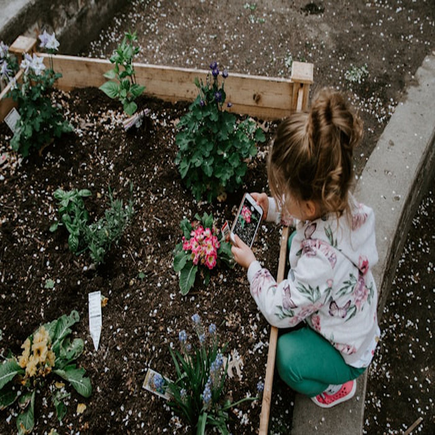 Essential Gardening Tips for Beginners