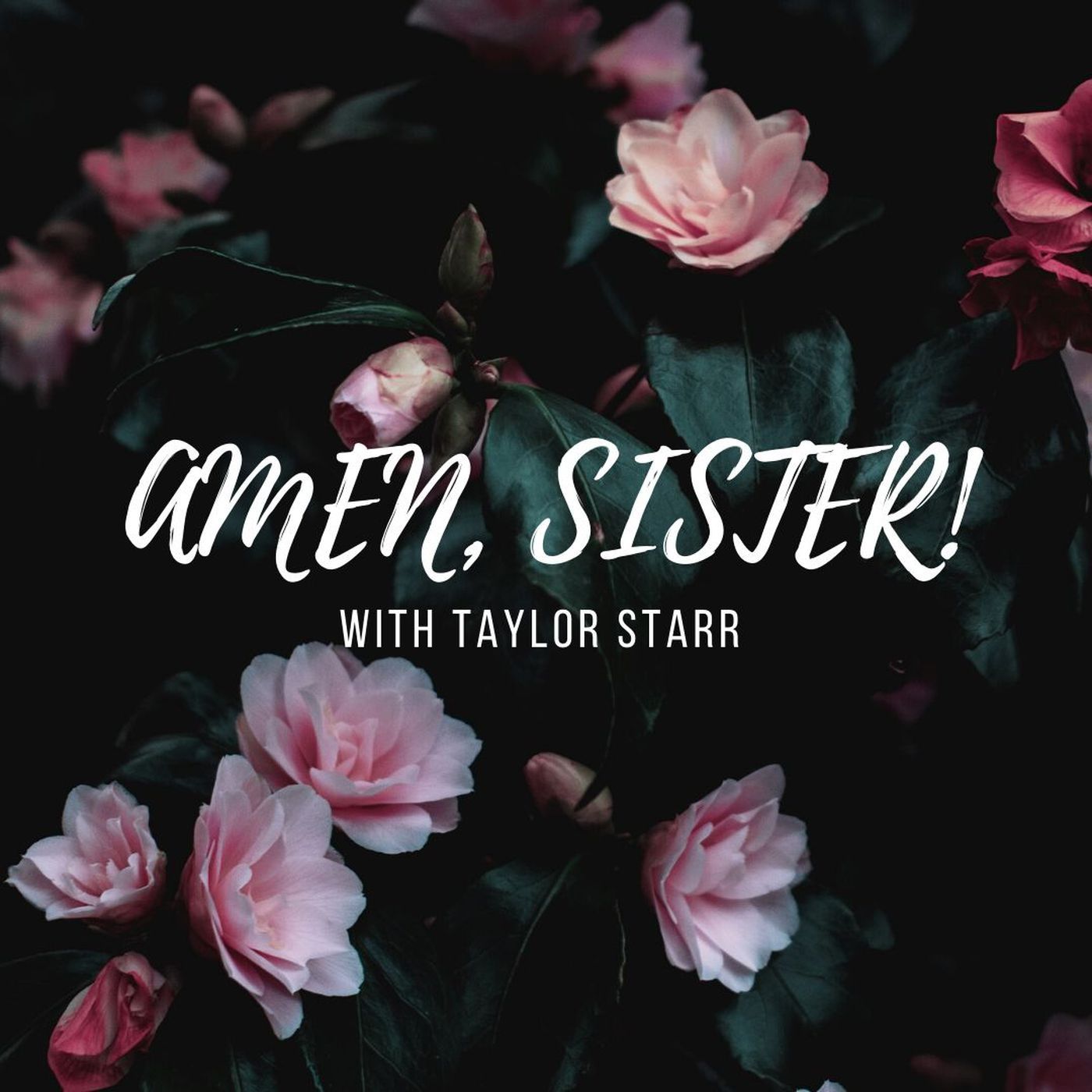 Episode 1 - Taylor's Testimony