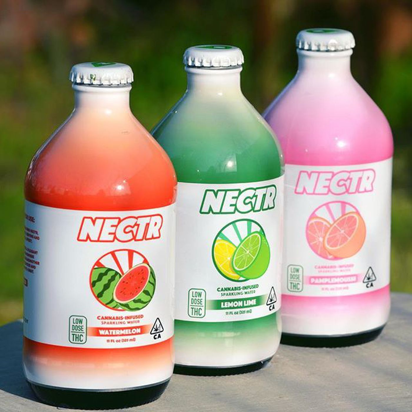 GREEN KONG CANNABIS TALK: AVE FROM MATT'S HIGH & NECTR! INFUSED CANNABIS BEVERAGES