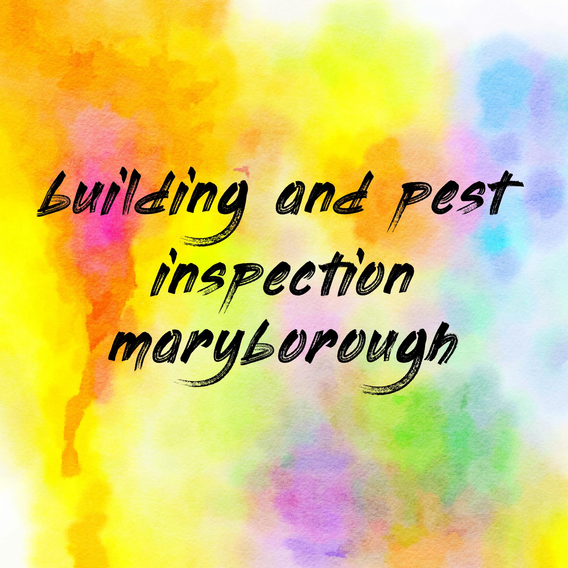 building and pest inspection maryborough