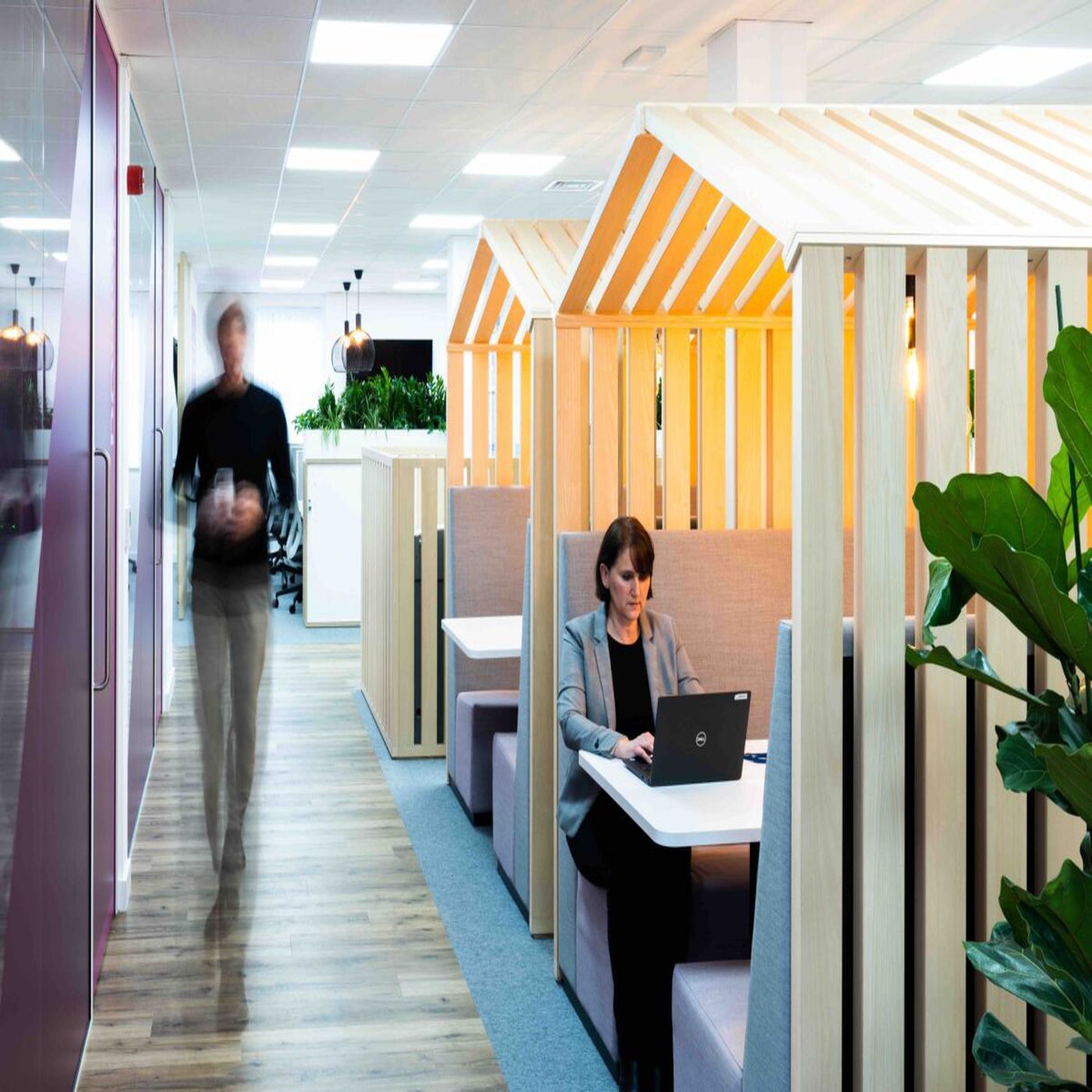 Building Visions: The Shafbuild Journey