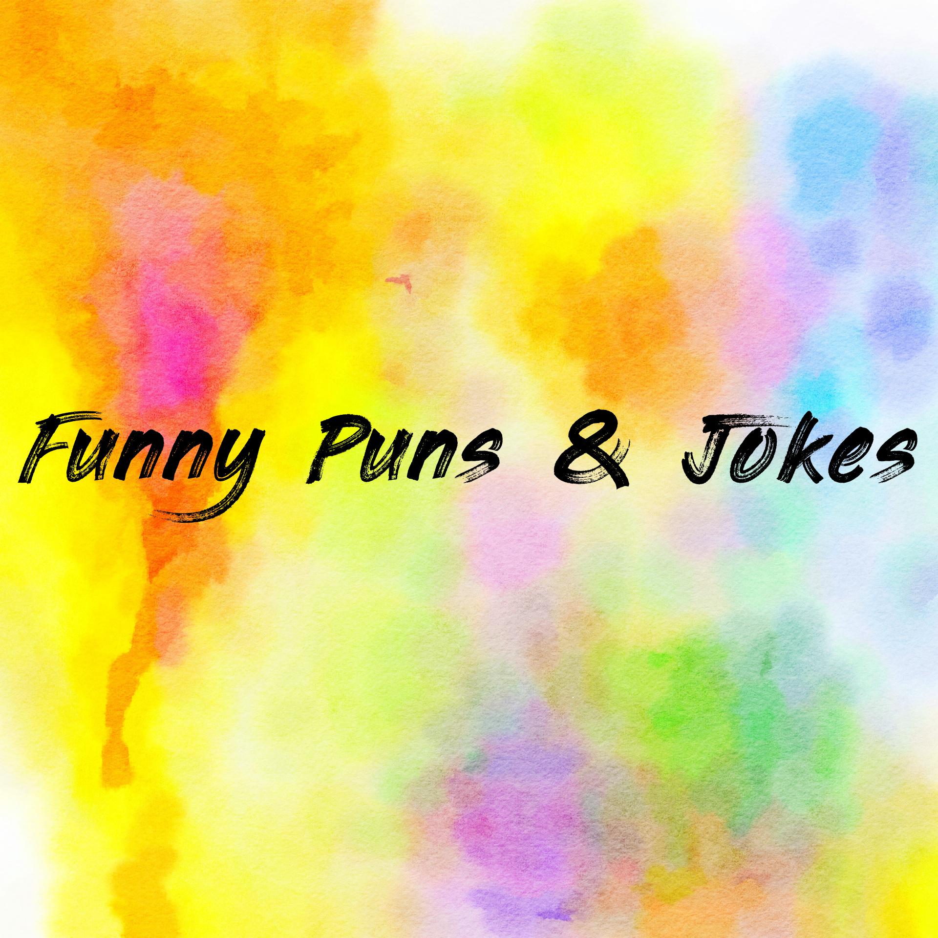 Funny Puns & Jokes