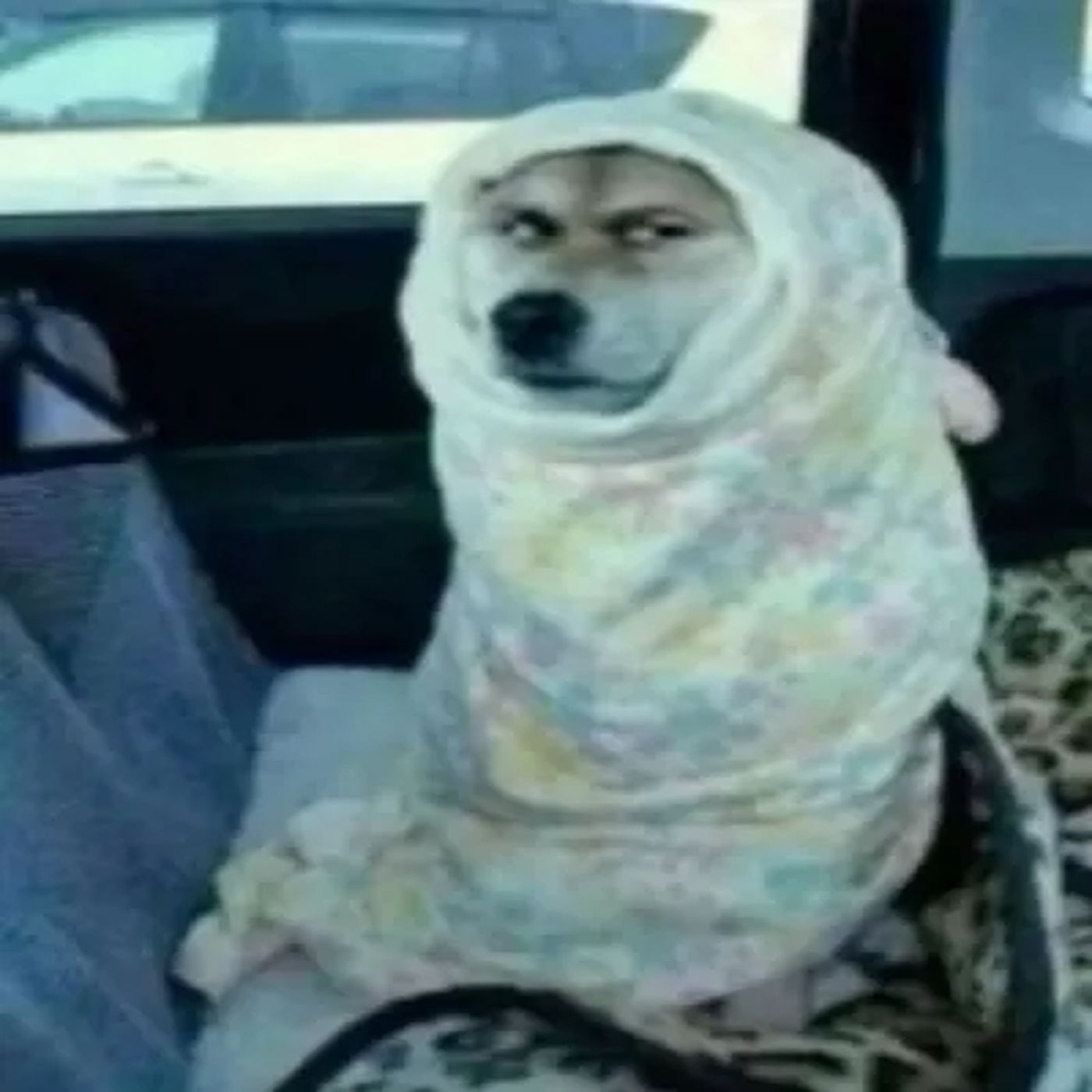 Luckiify craziify laziify