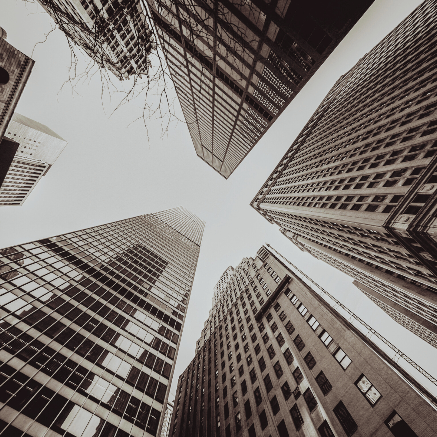 The Creative Frame: Inside NYC’s Studio Culture