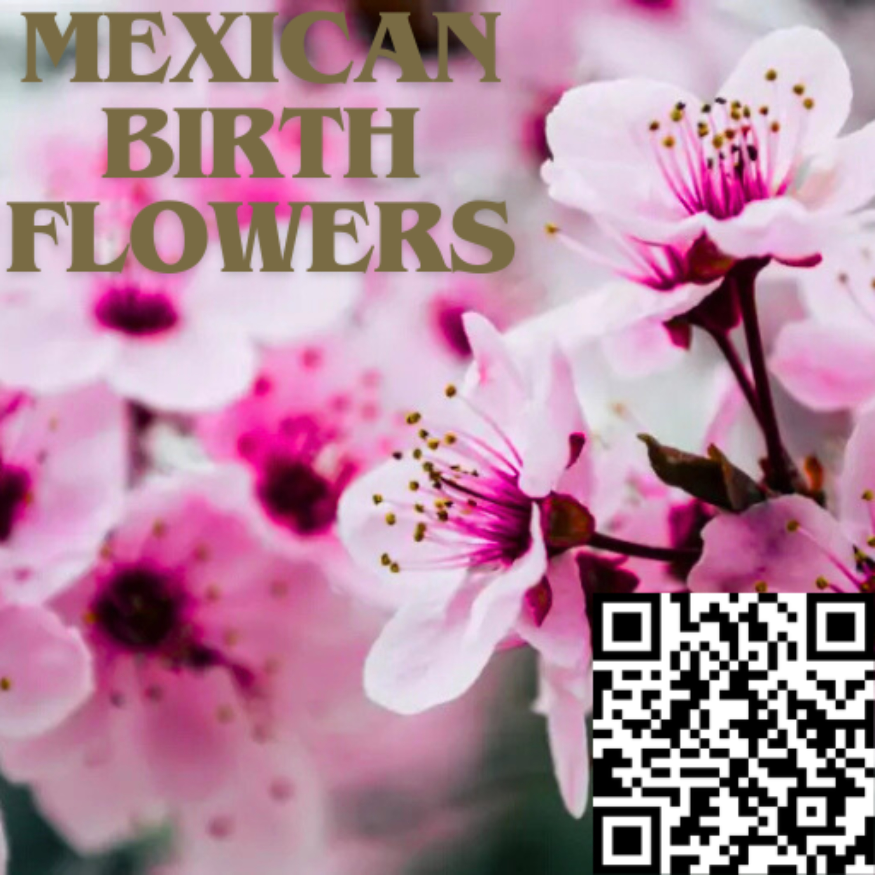 Discover the Blooms That Represent Each Month