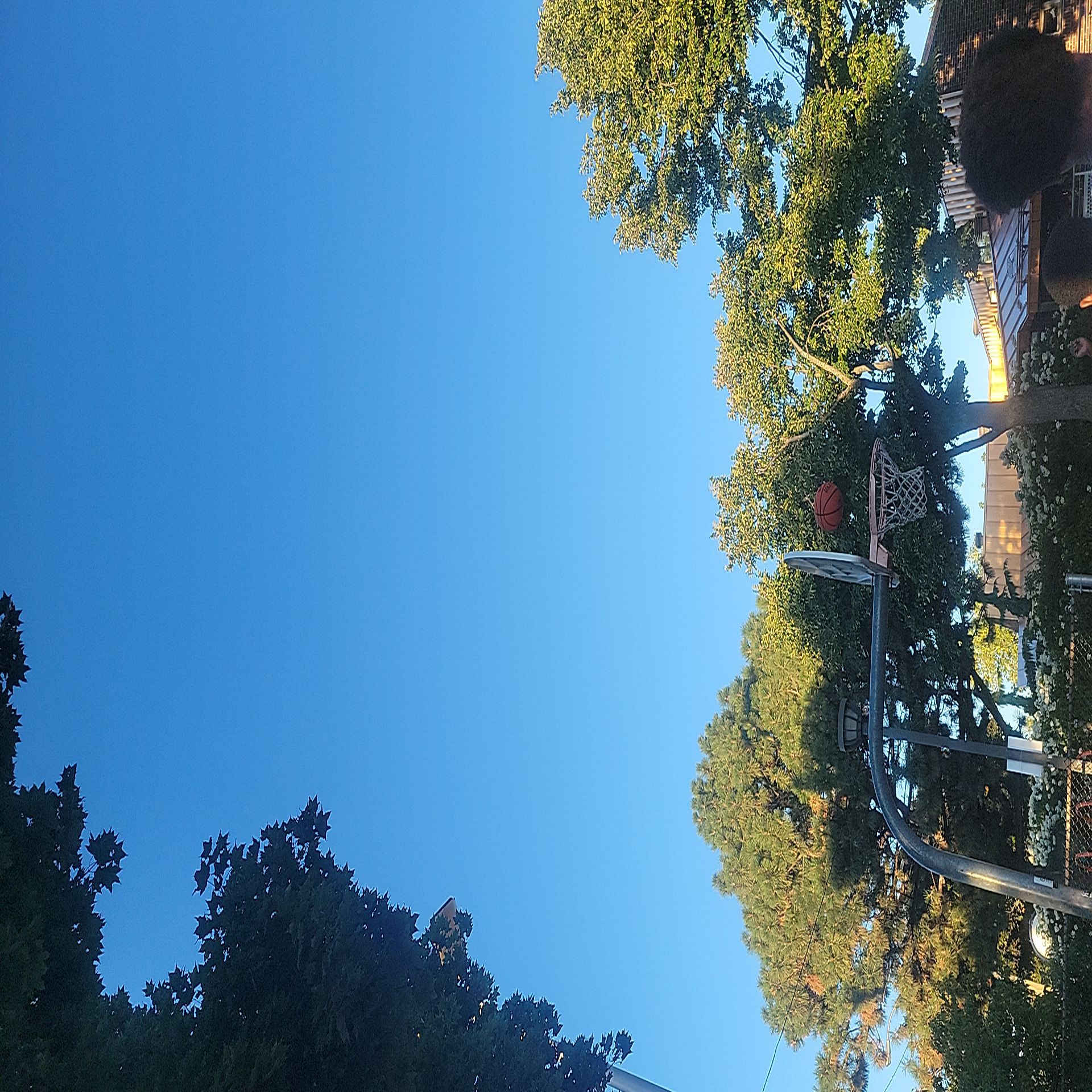 Slizi & The Book of Thursday