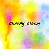 Cherry bloom