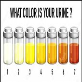 Here is What The Colour Of Your Urine Says About Your Health