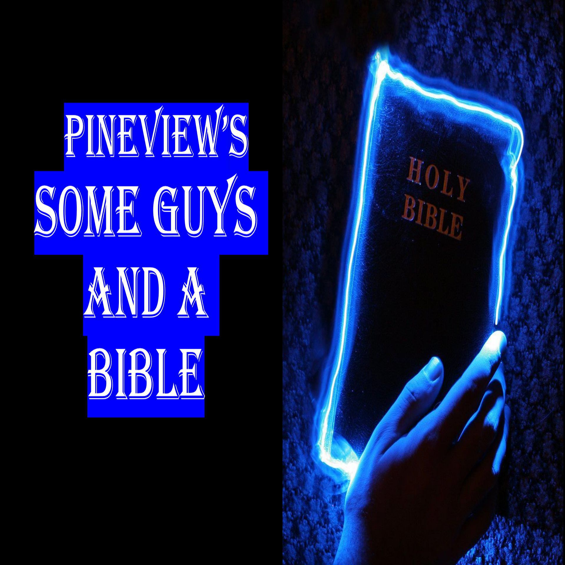 Pineview\'s Some Guys and a Bible