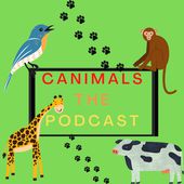CANIMALS- what animal can???